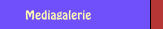 Mediagalerie